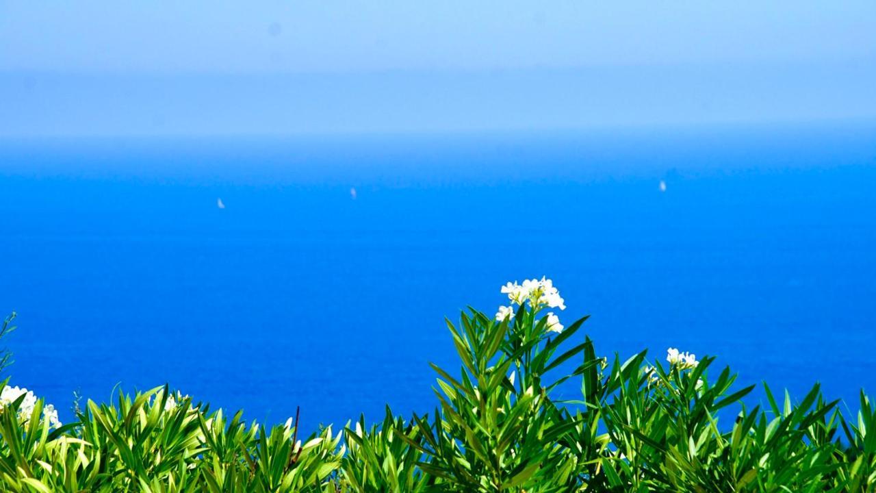 Petale De Rose Cavalaire-sur-Mer